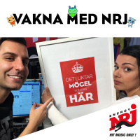 Veckans Uppdrag: MÖGEL