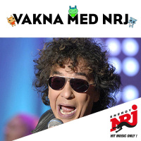 Gråtattack Till Uggla