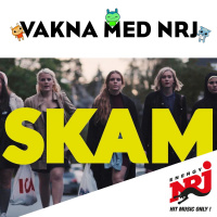 Skämmiga TV-Vanor