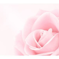 How to Embrace Pure Love ...