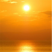 How Nonprofits Use Our Telexperience as a Fundraising Vehicle