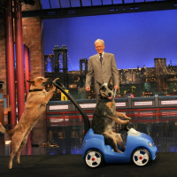 Mt. Rushmore of Late Night Talk Show Segments (w/ Mike Perkins)