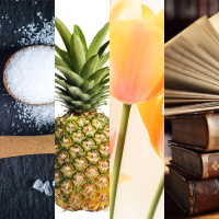 Mt. Rushmore of Features of Wealth of a Bygone Era