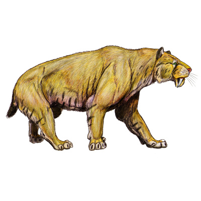 Mt. Rushmore Podcast