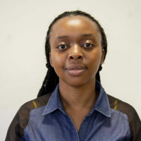 Corruption’s Security Consequences in Developing Countries A Case Study of Nigeria