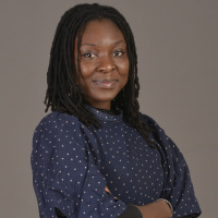 Insecurity in West African francophone countries, pretension of finding solutions(ENGLISH)