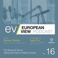 The Beowulf Group - The European View Podcast