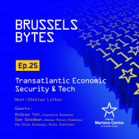 Building a Transatlantic Approach to Economic Security  Tech – Brussels Bytes