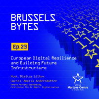 European Digital Resilience  Building Future Infrastructure - Brussels Bytes W/ Amelia Andersdotter