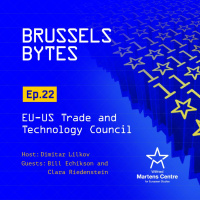 The EU-US Trade and Technology Council with Bill Echikson and Clara Riedenstein