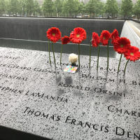 Från Manhattan till Qatar