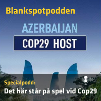 Specialpodd: Det här står på spel vid Cop29
