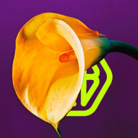 EPSA is Burning_S16E03 - Episodio exclusivo para mecenas