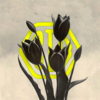 EPSA is Burning S16E11 - Episodio exclusivo para mecenas