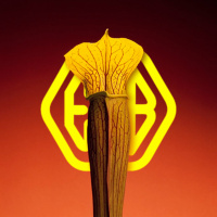 EPSA is Burning S16E09 - Episodio exclusivo para mecenas