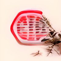 EPSA is Burning S15E07 - Episodio exclusivo para mecenas