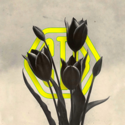 Podcast El Programa De Sita Abellán