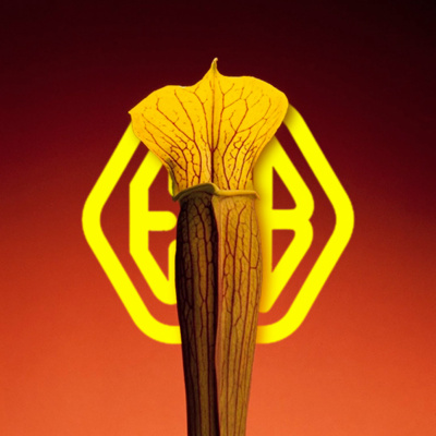 Podcast El Programa De Sita Abellán