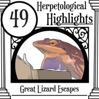 049 Great Lizard Escapes