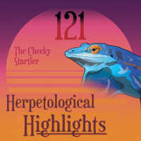 121 The Cheeky Startler