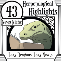 043 Lazy Dragons, Lazy Newts