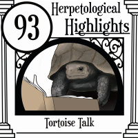 093 Tortoise Talk