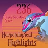 236 Grippy Australian Geckos