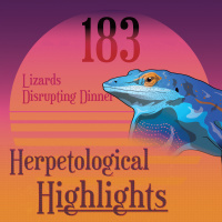 183 Lizards Disrupting Dinner