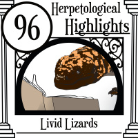 096 Livid Lizards