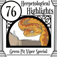 076 Green Pit Viper Special