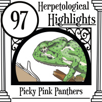 097 Picky Pink Panthers