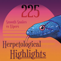 225 Smooth Snakes vs Vipers
