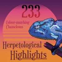 233 Colour-matching chameleons