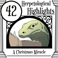 042 A Christmas Miracle