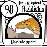 098 Kingsnake Squeeze