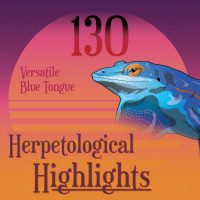 130 Versatile Blue Tongue