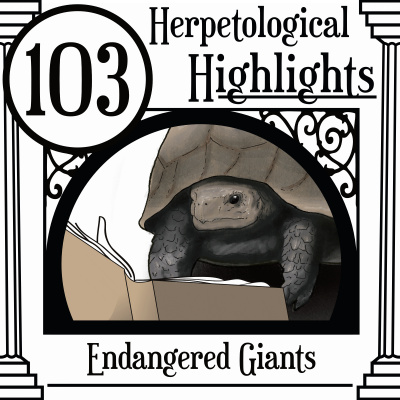 Herpetological Highlights