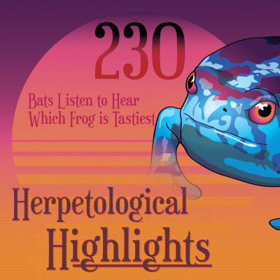Herpetological Highlights