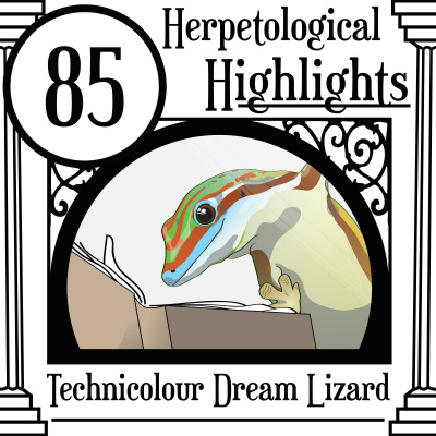 Herpetological Highlights