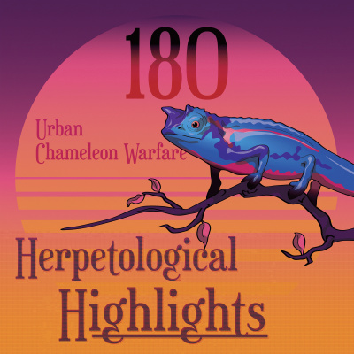 Herpetological Highlights