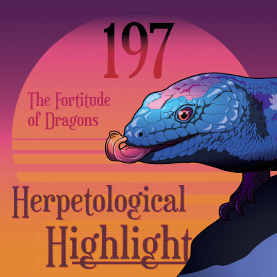 Herpetological Highlights