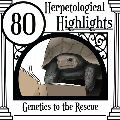 Herpetological Highlights