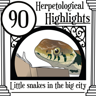 Herpetological Highlights