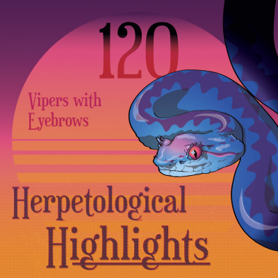 Herpetological Highlights