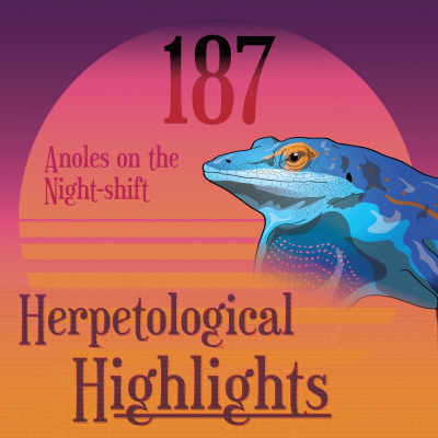 Herpetological Highlights