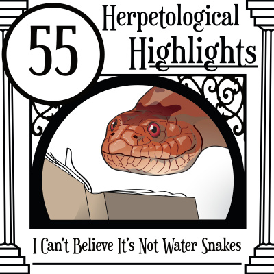 Herpetological Highlights
