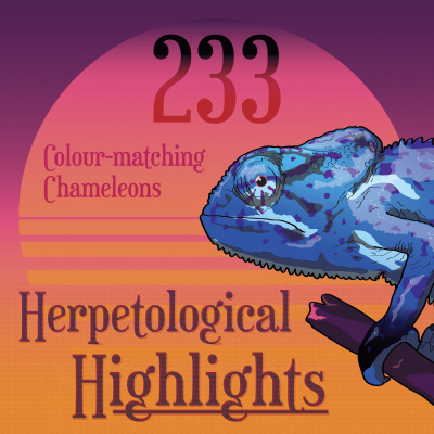 Herpetological Highlights