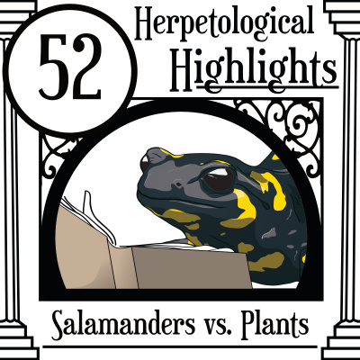 Herpetological Highlights