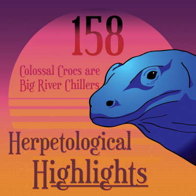 Herpetological Highlights