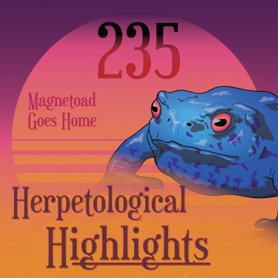 Herpetological Highlights
